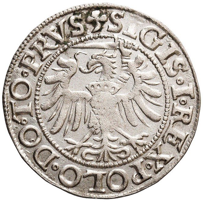 Zygmunt I Stary, Grosz 1538, Elbląg