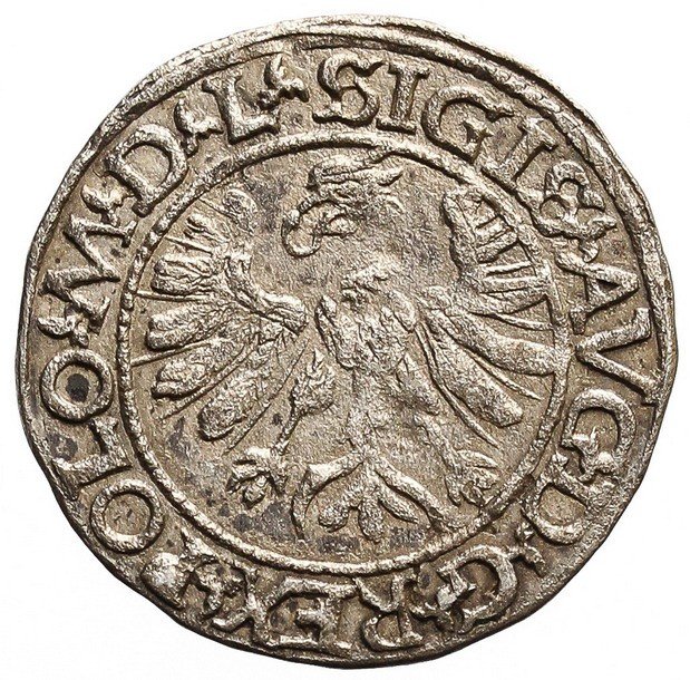 Zygmunt II August, Półgrosz 1566, Tykocin