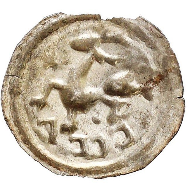 Pomorze Gdańskie, Świętopełk ll (1219/20-1266), Brakteat, typ Cervus — odmiana
