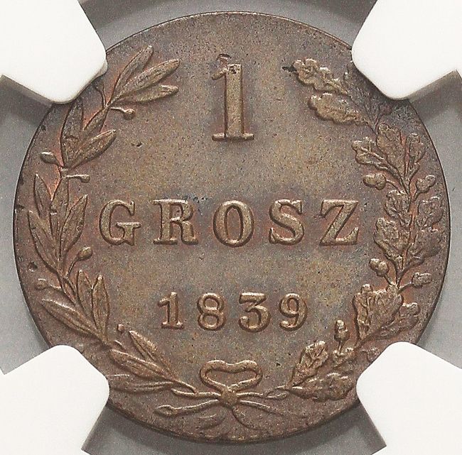 Królestwo Polskie / Rosja. Mikołaj I, Grosz 1839, Warszawa
