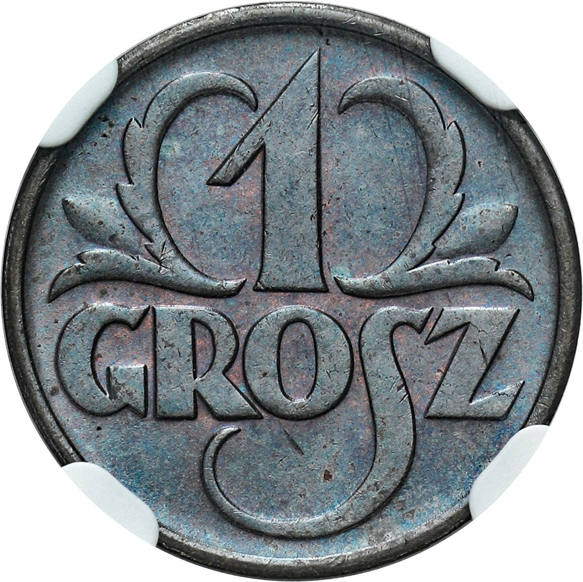 II RP 1 grosz 1935 NGC MS65 BN - PIĘKNY