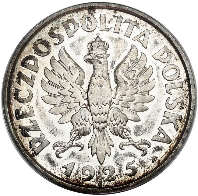 II RP. 5 złotych 1925, Konstytucja 100 perełek, srebro