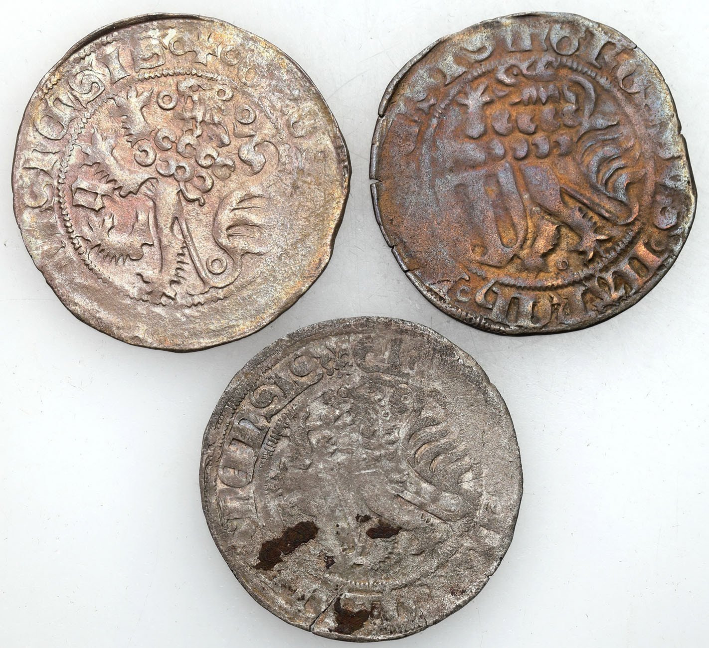 Niemcy, Miśnia. Fryderyk II (1445–1464). Grosz miśnieński 1457-1464, zestaw 3 sztuk