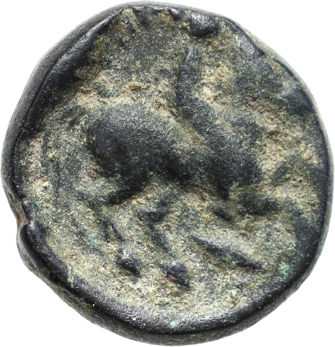 Grecja, Macedonia, AE 15 (half - unit) Aleksander III Wielki 336-323 p. n. e., Amfipolis lub Pella