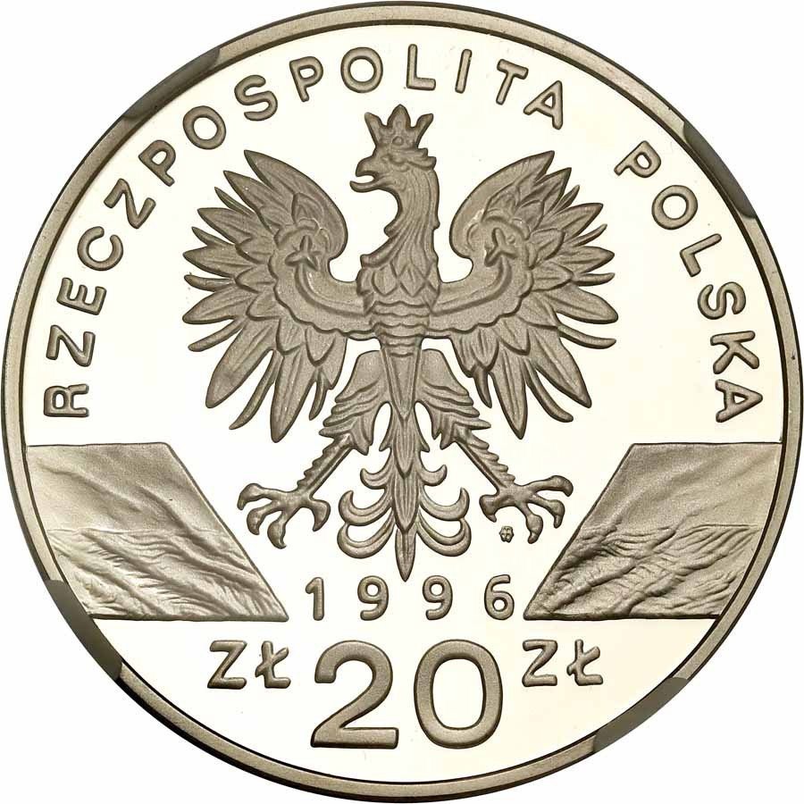 III RP. 20 zlotych 1996 Jeż NGC PF69 ULTRA CAMEO