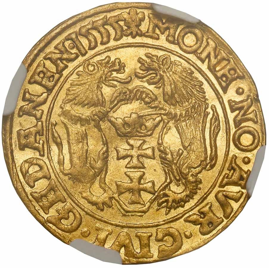 Zygmunt II August. Dukat 1555, Gdańsk NGC MS61 (MAX)
