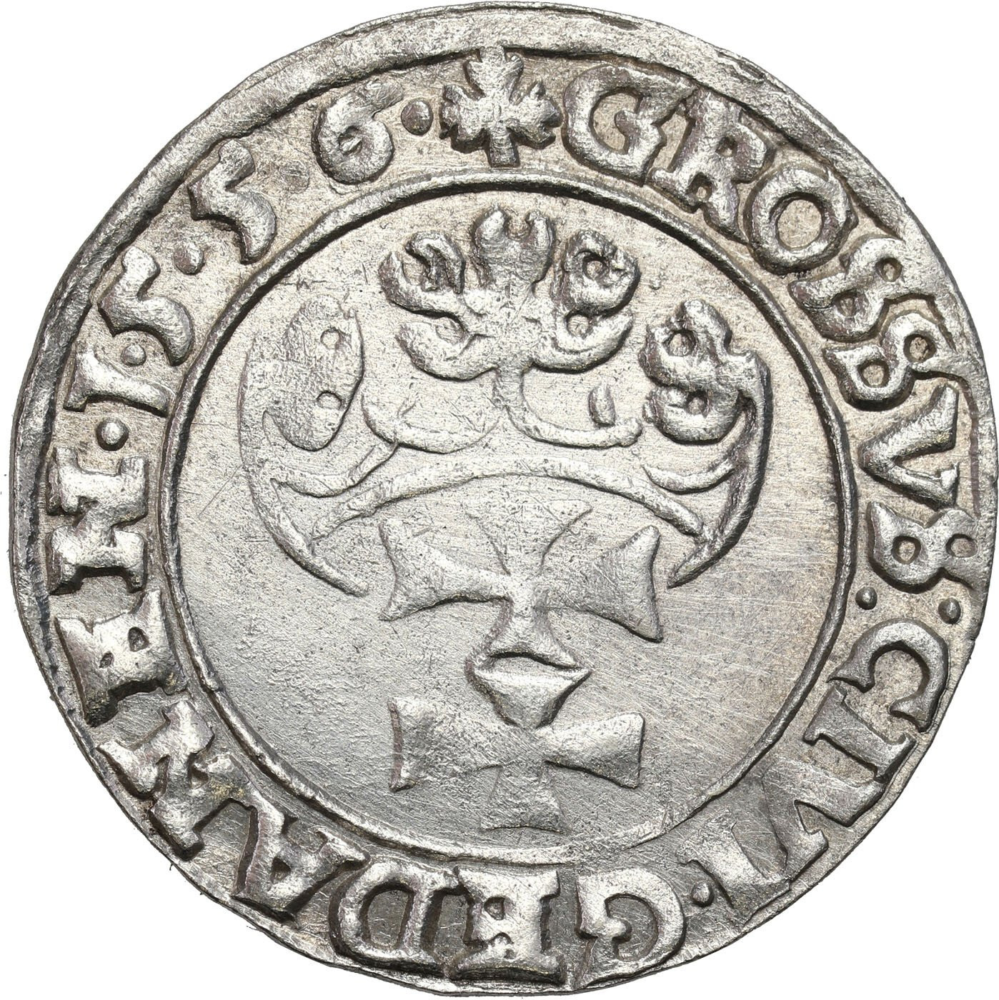 Zygmunt II August. Grosz 1556, Gdańsk