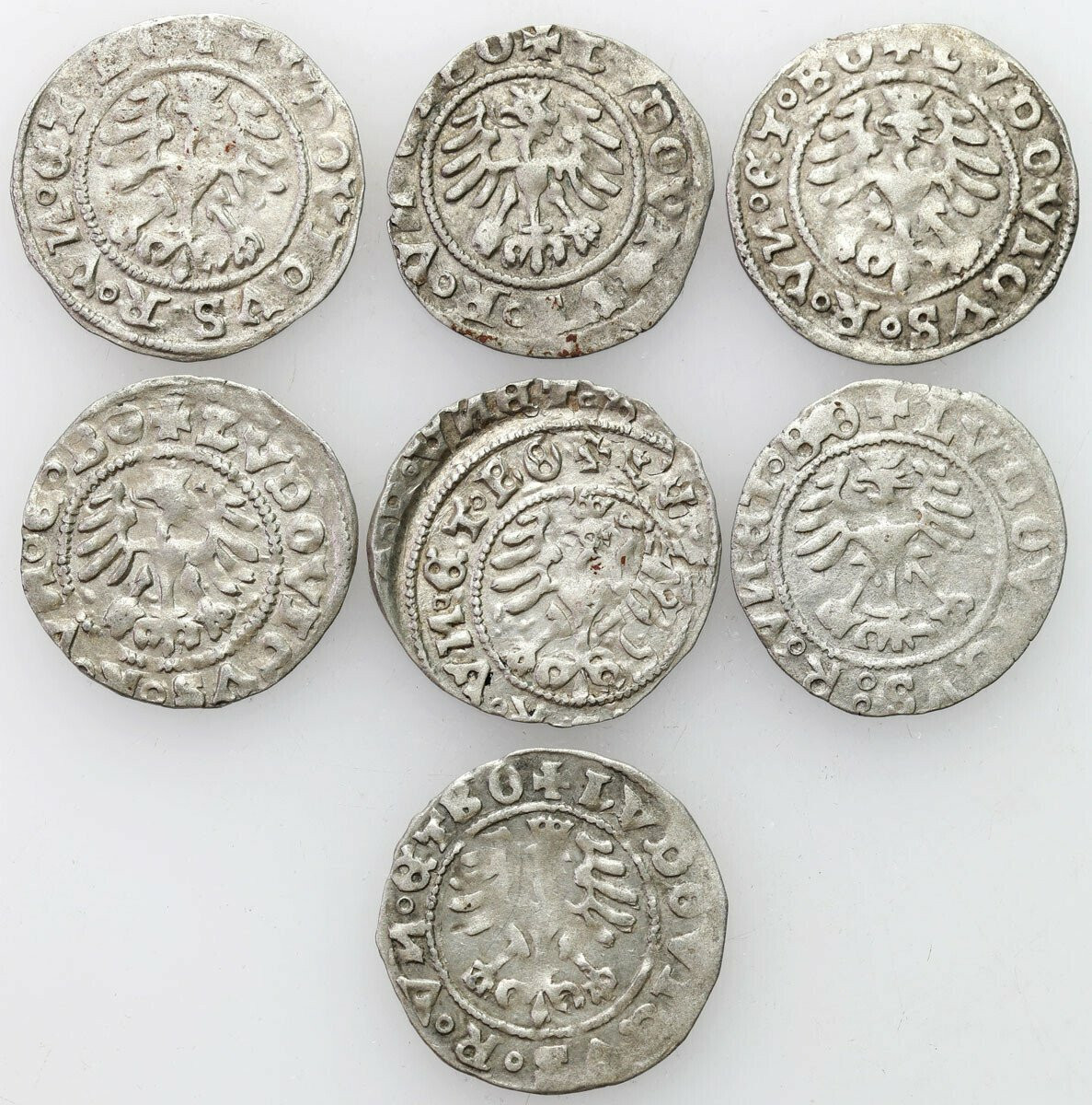 Śląsk, Ludwik Jagiellończyk (1516–1526). Półgrosz 1526, Świdnica, zestaw 7 sztuk