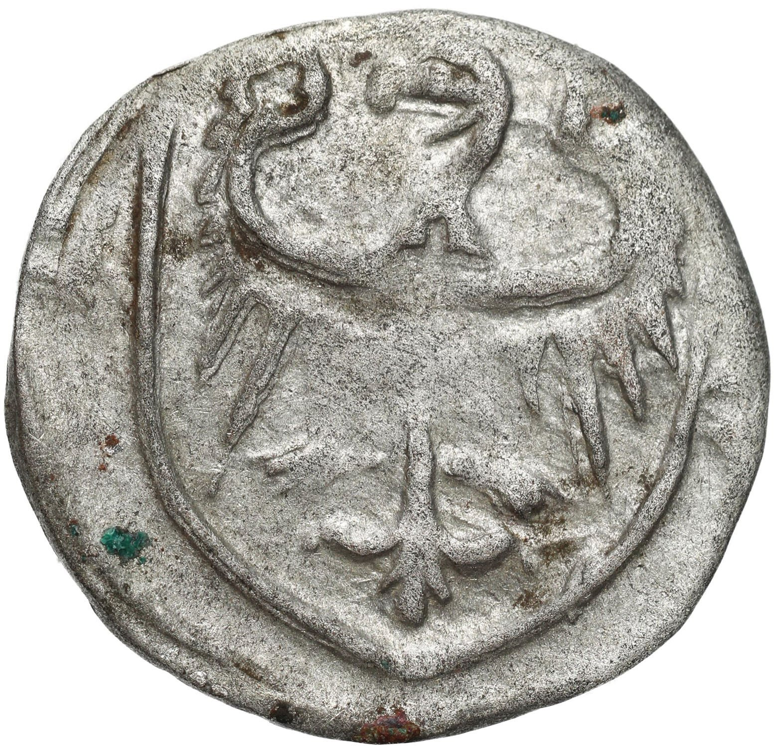 Śląsk, Księstwo Oleśnickie - Konrad V Kącki (1412–1439) lub Konrad VII Biały (1439–1450), halerz bez daty