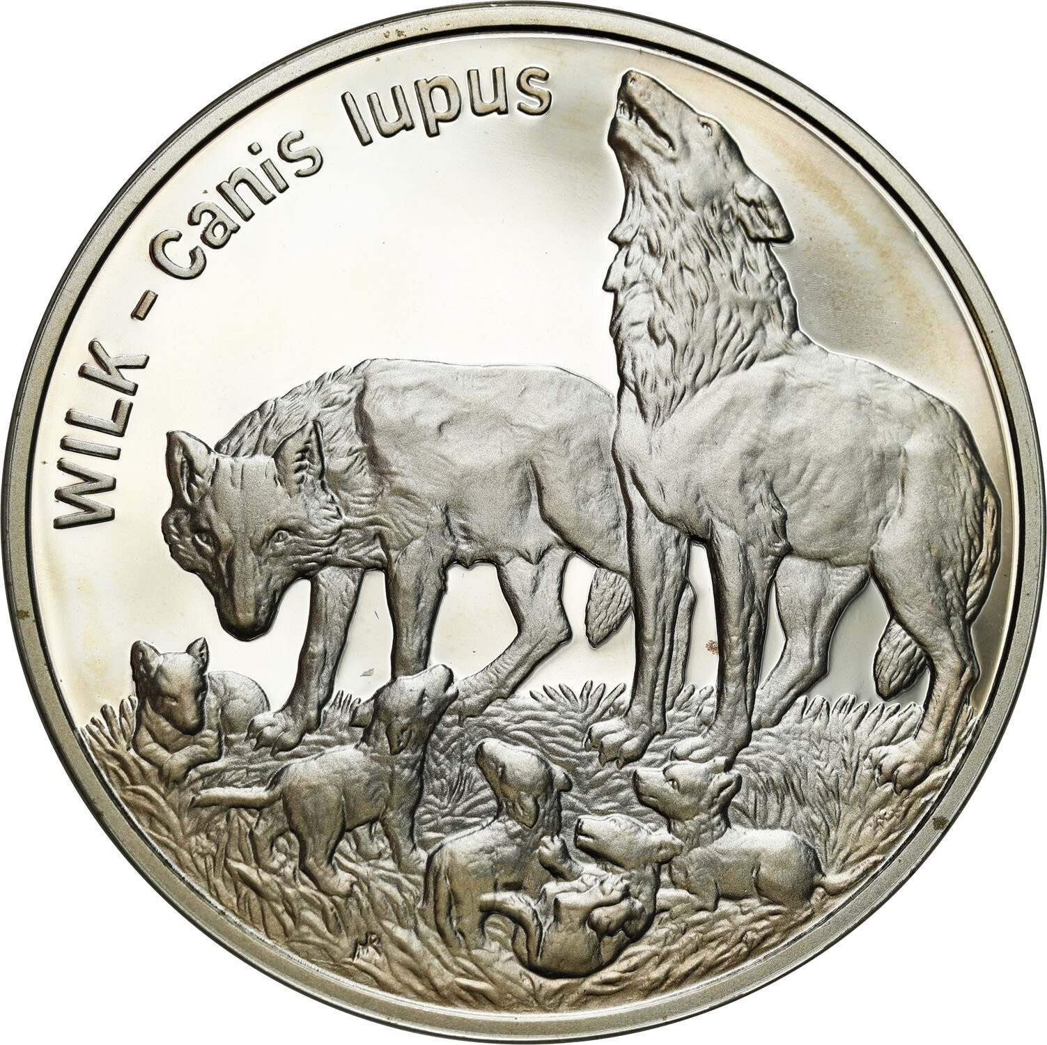 III RP. 20 złotych 1999 Wilk - RZADSZE