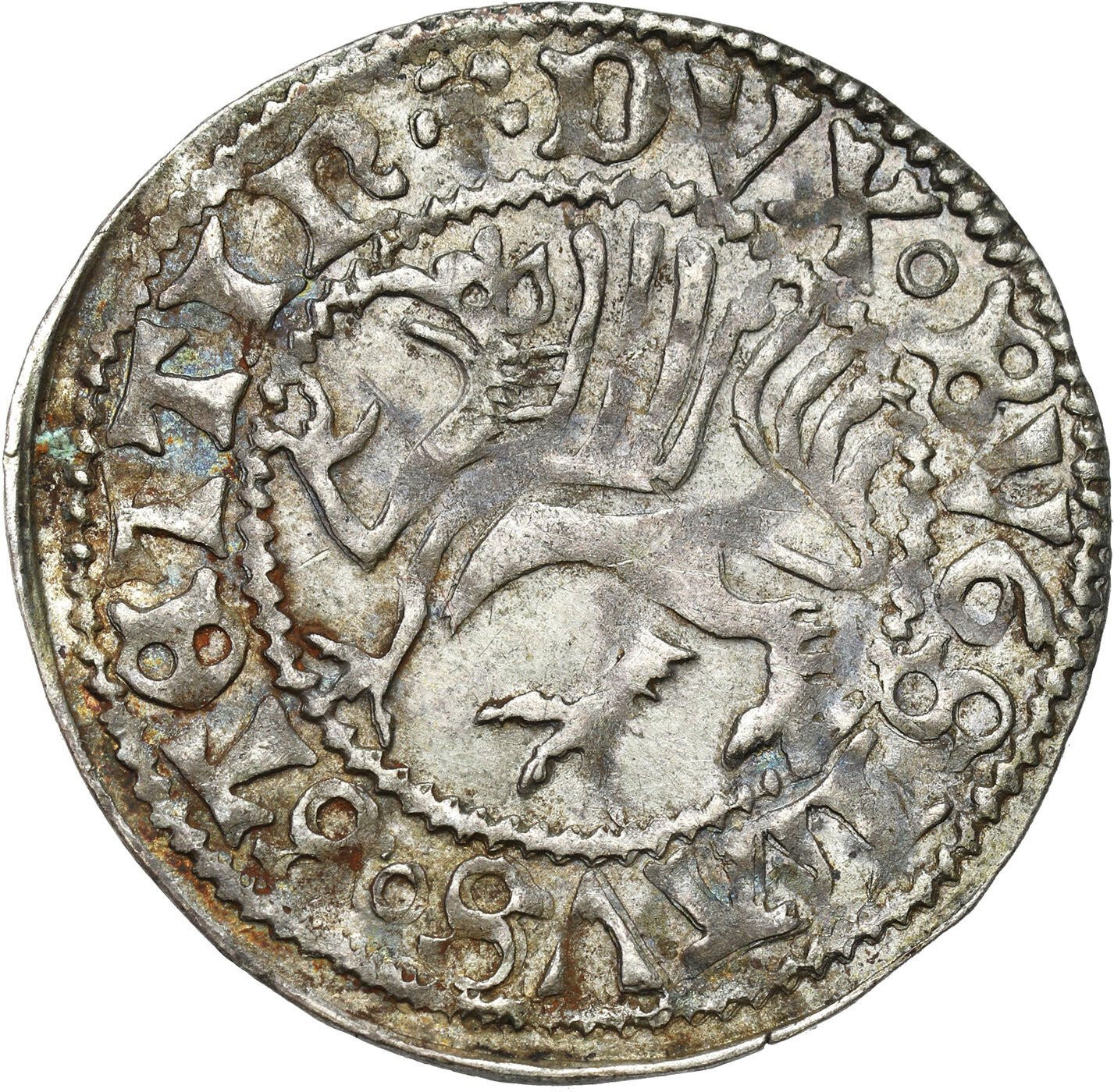Pomorze. Bogusław X (1474-1523). Szeląg 1498, Szczecin