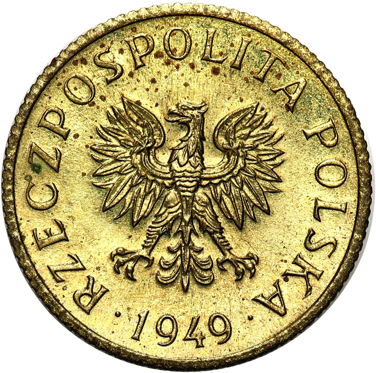 PRL. PRÓBA mosiądz 1 grosz 1949 - NAKŁAD 100 sztuk