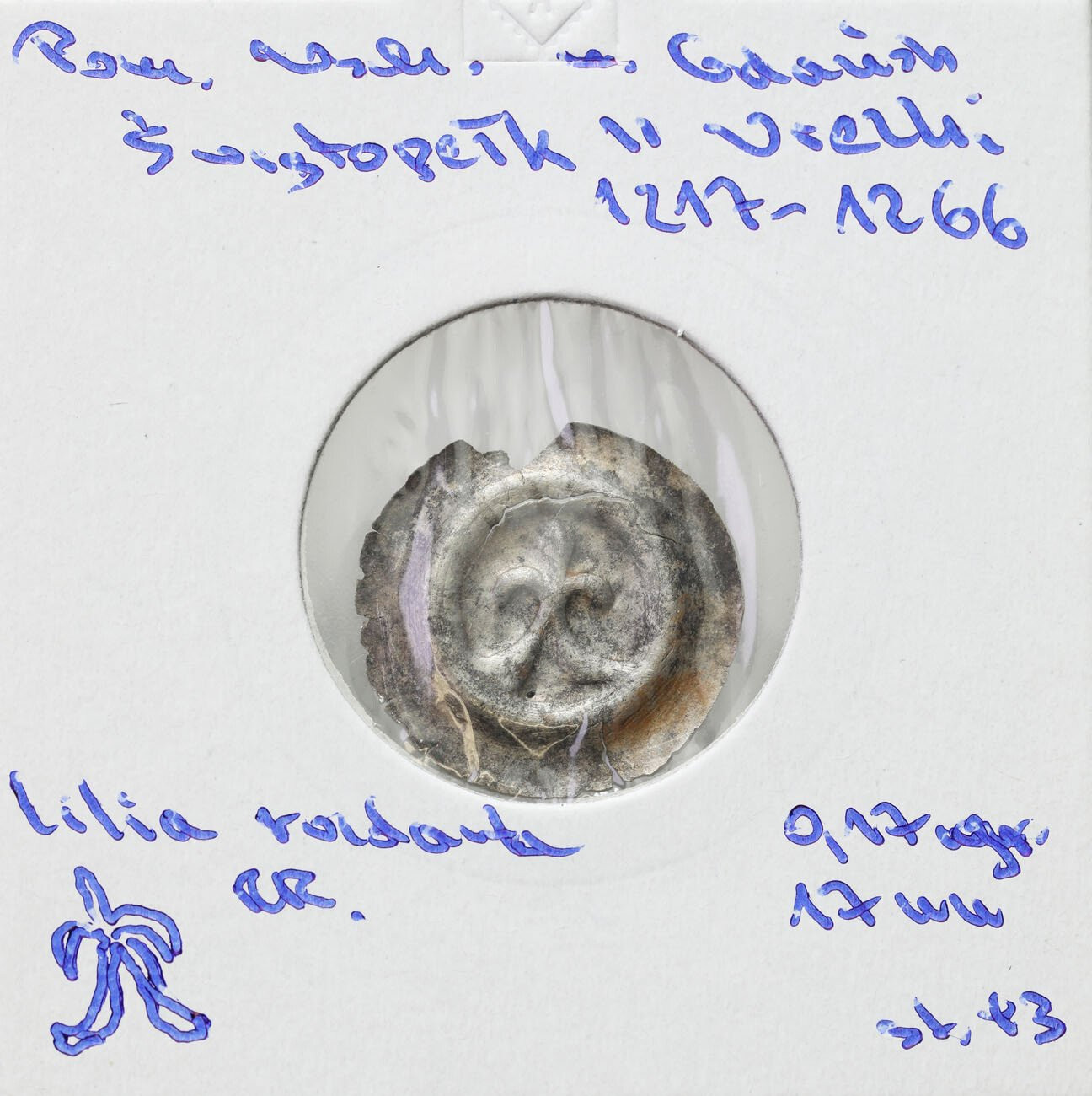 Pomorze Wschodnie. Świętopełk II Wielki (1217-1266). Brakteat - lilia na krokwi - RZADKI