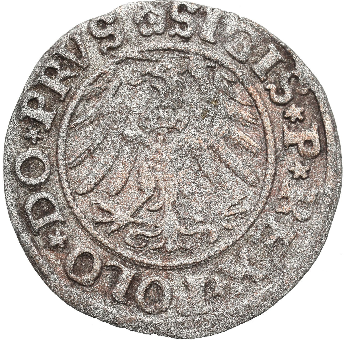 Zygmunt I Stary. Szeląg 1531, Elbląg