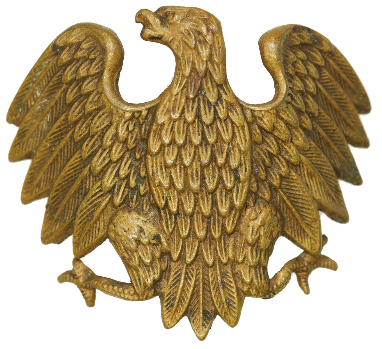 Orzełek Kurica