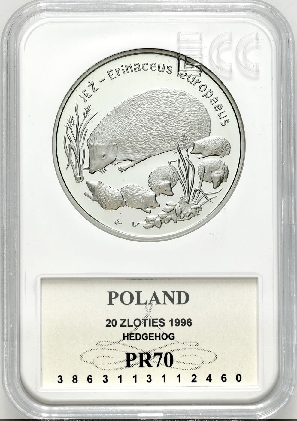 III RP. 20 złotych 1996 Jeż PR70 - RZADSZE