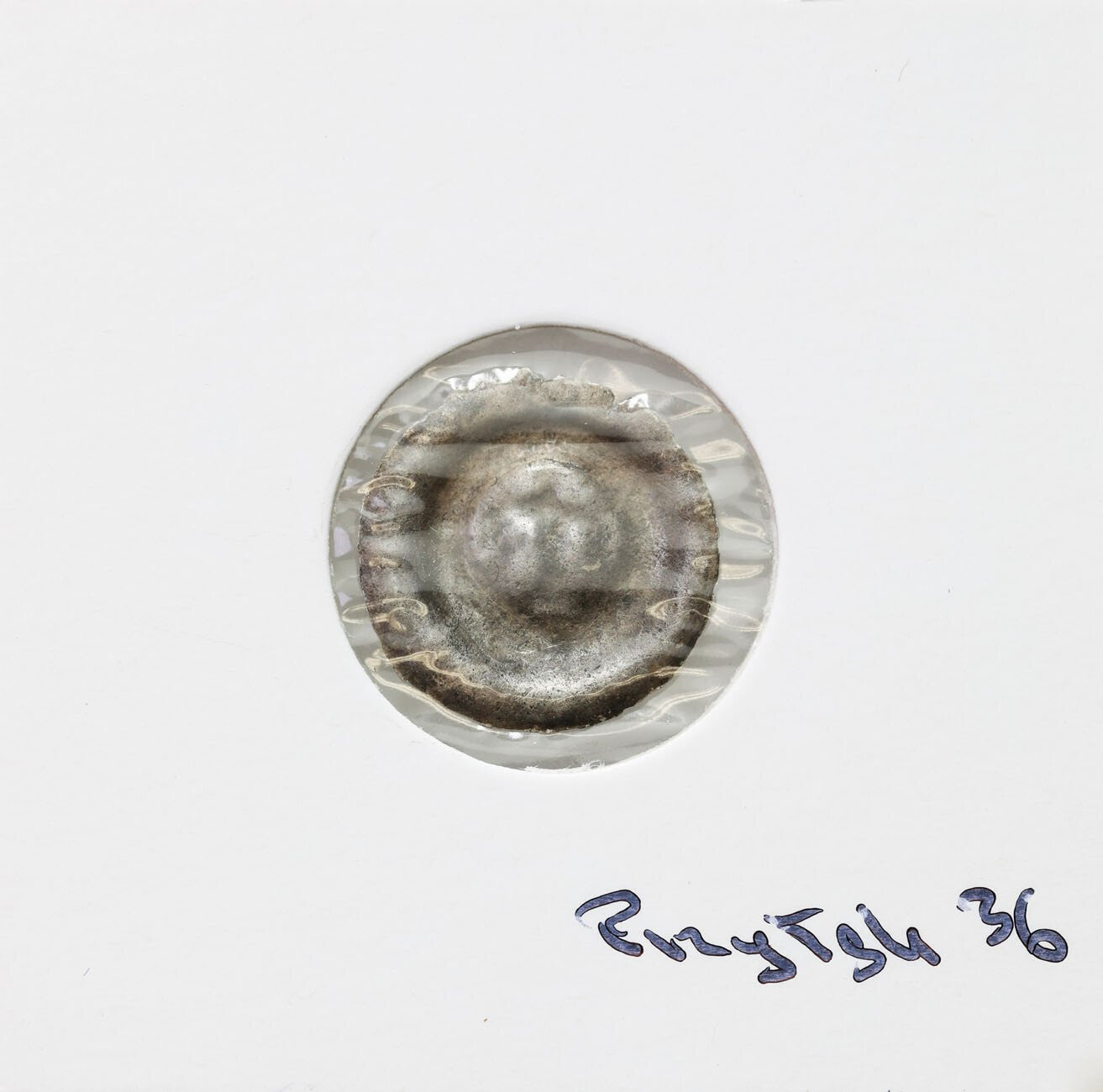 Pomorze Wschodnie, Świętopełk II Wielki (1220-1266), Brakteat II poł. XIII w. - Lilia swobodna - RZADKI
