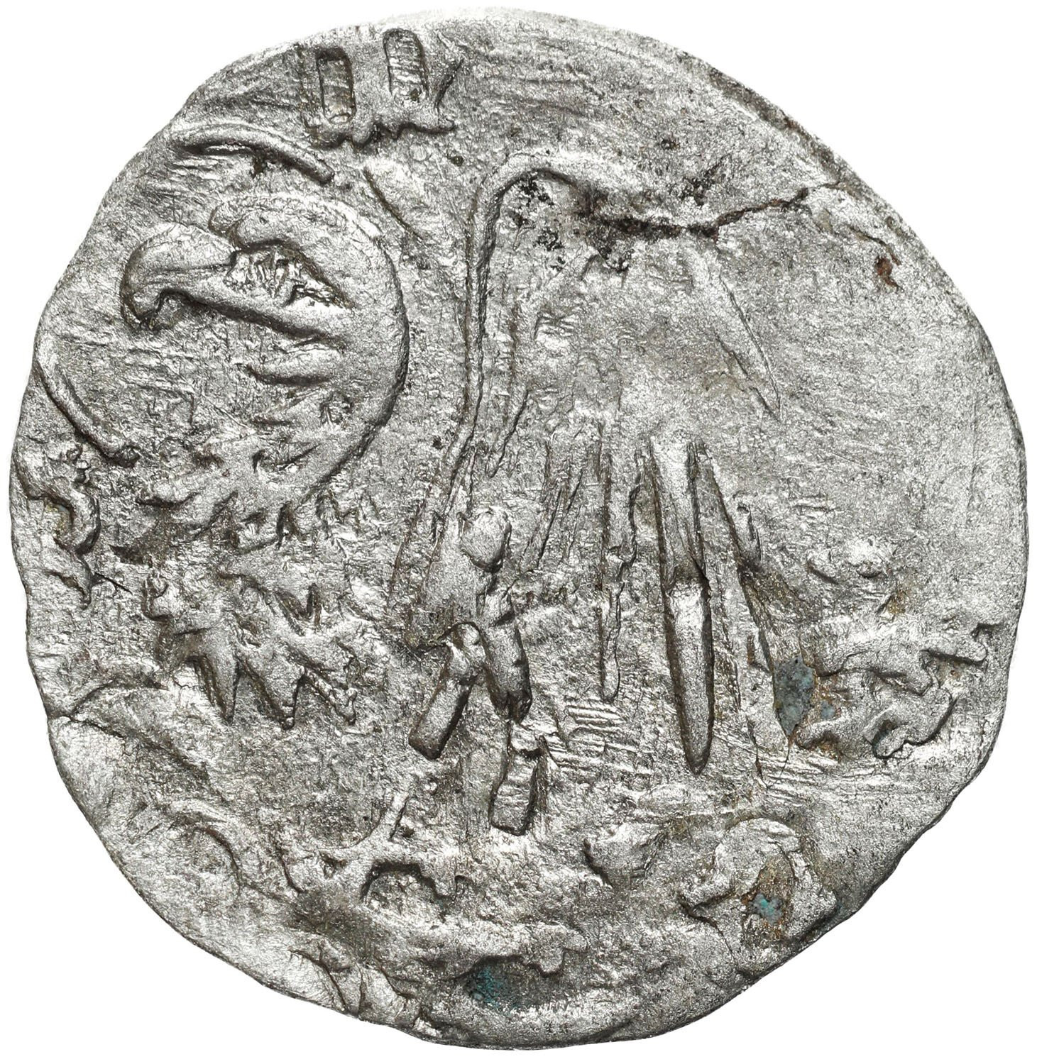 Śląsk, Księstwo Oleśnickie - Konrad V Kącki (1412–1439) lub Konrad VII Biały (1439–1450), halerz bez daty