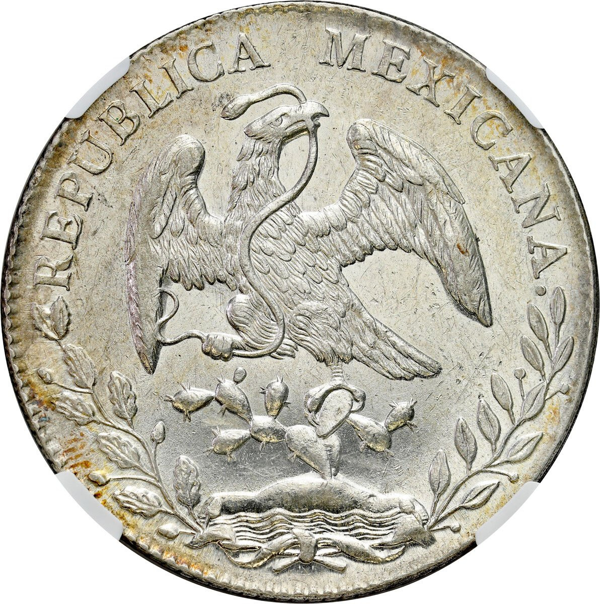 Meksyk. 8 reali 1893 Mo AM, Meksyk NGC MS63 - PIĘKNE