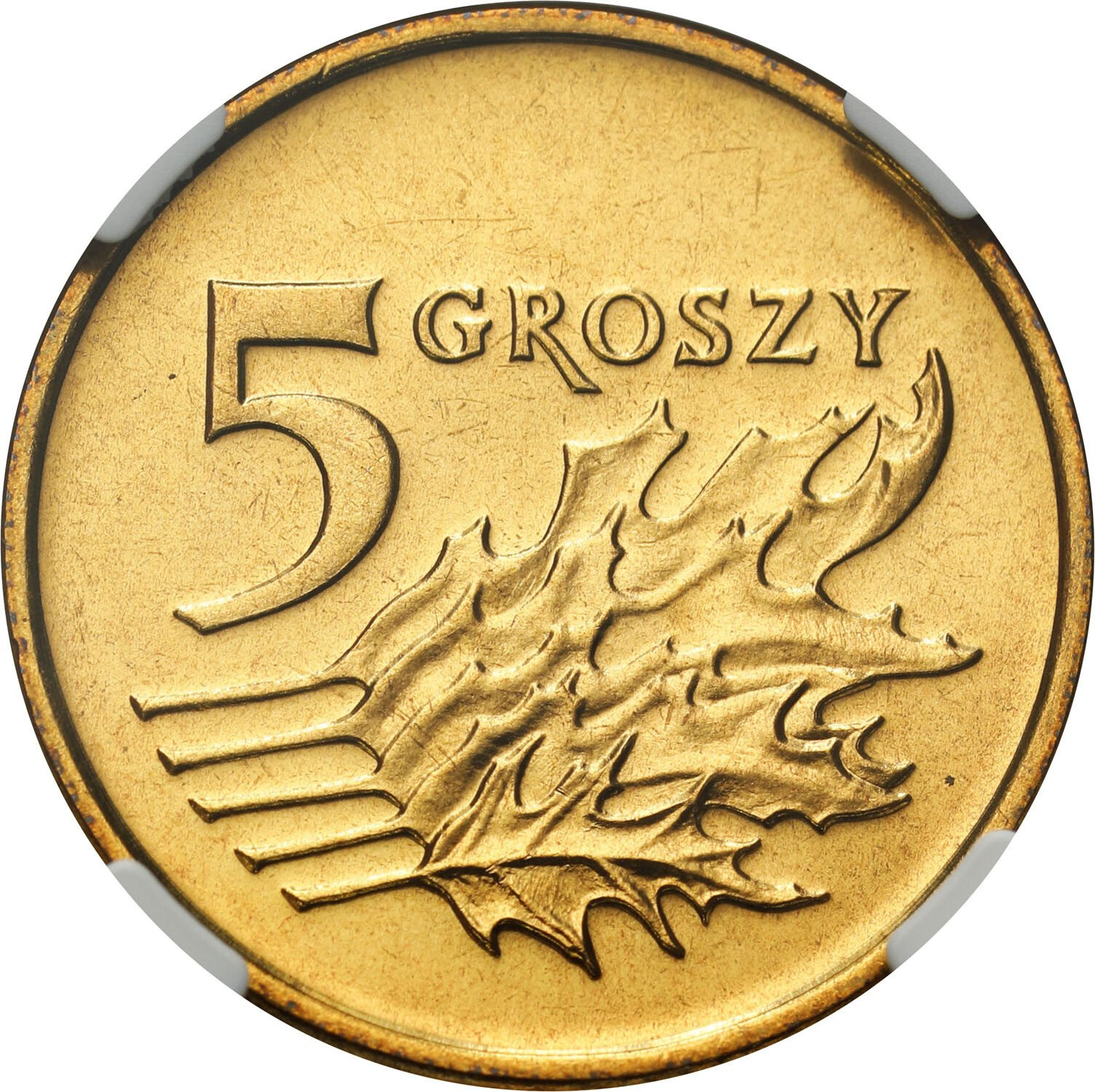 III RP. 5 groszy 1993 NGC MS67 – PIĘKNE