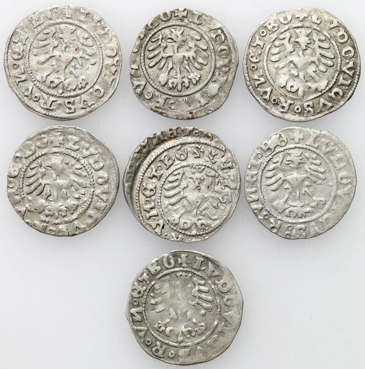 Śląsk, Ludwik Jagiellończyk (1516–1526). Półgrosz 1526, Świdnica, zestaw 7 sztuk