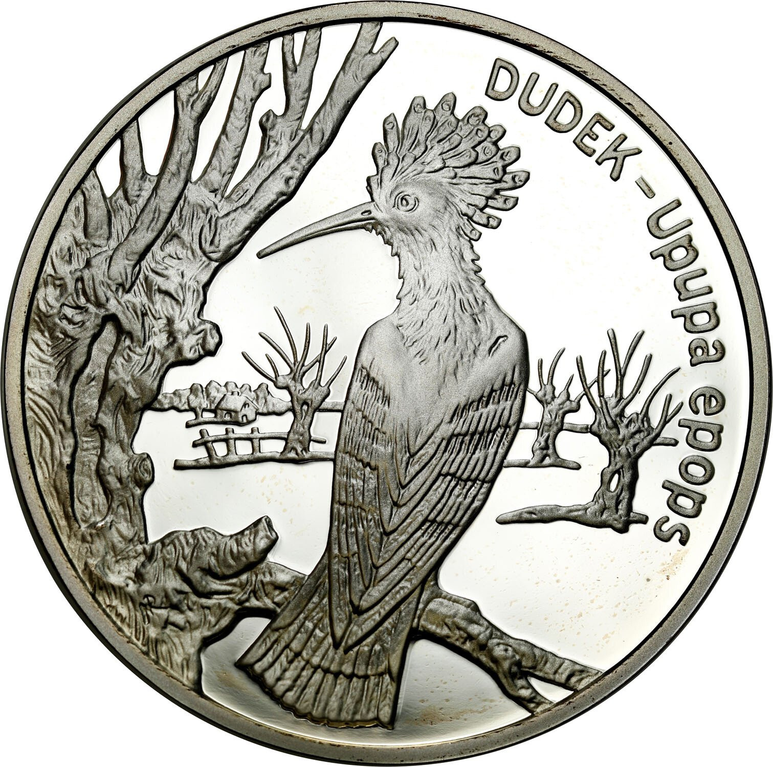III RP. 20 złotych 2000 Dudek - RZADSZE