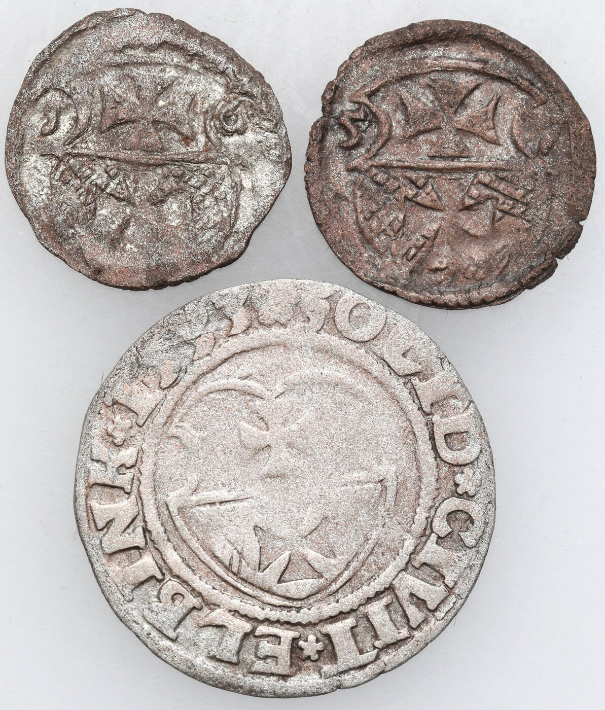 Zygmunt I Stary. Denar 1556, 1557 i Szeląg 1533, Elbląg, zestaw 3 monet