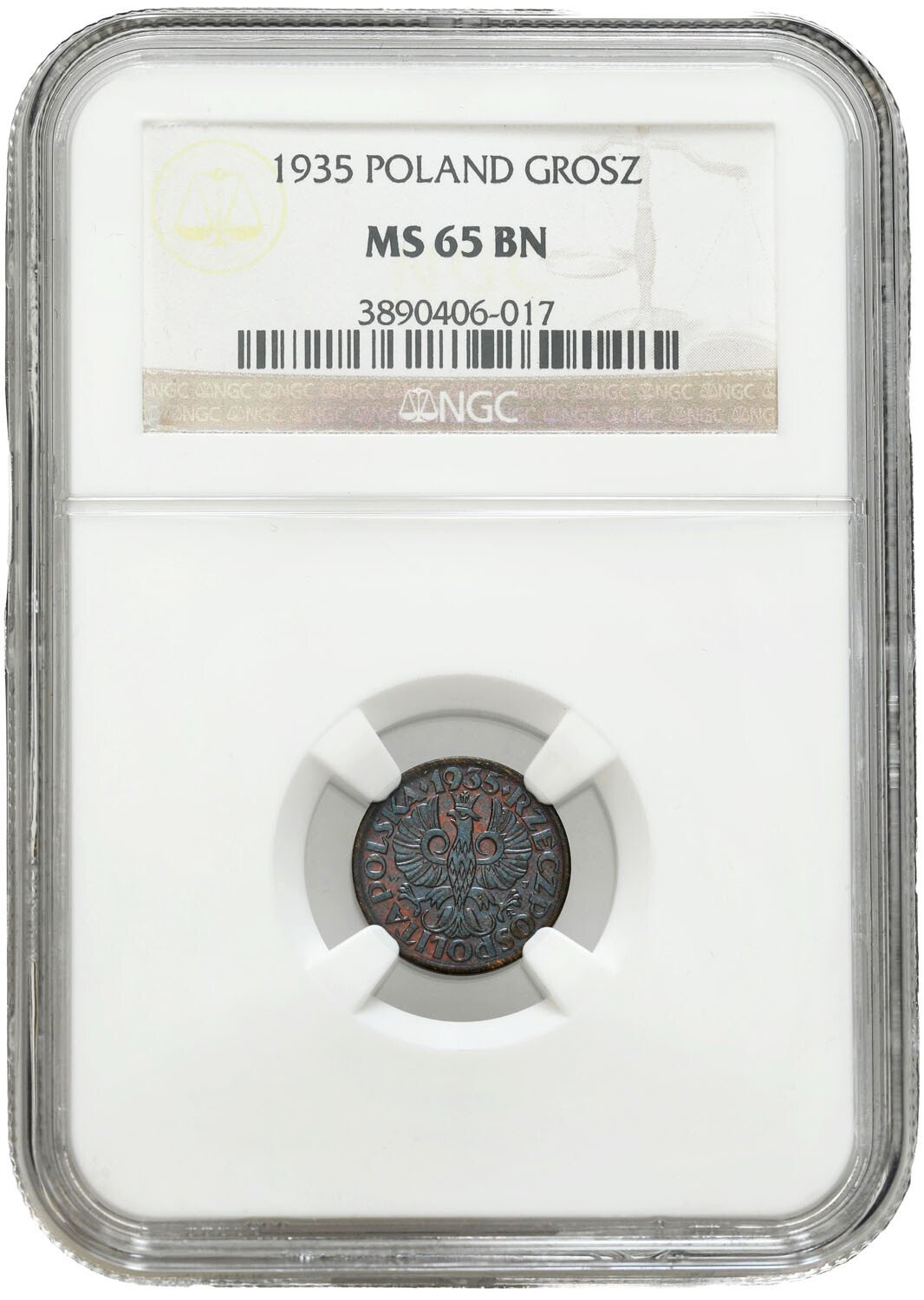 II RP 1 grosz 1935 NGC MS65 BN - PIĘKNY