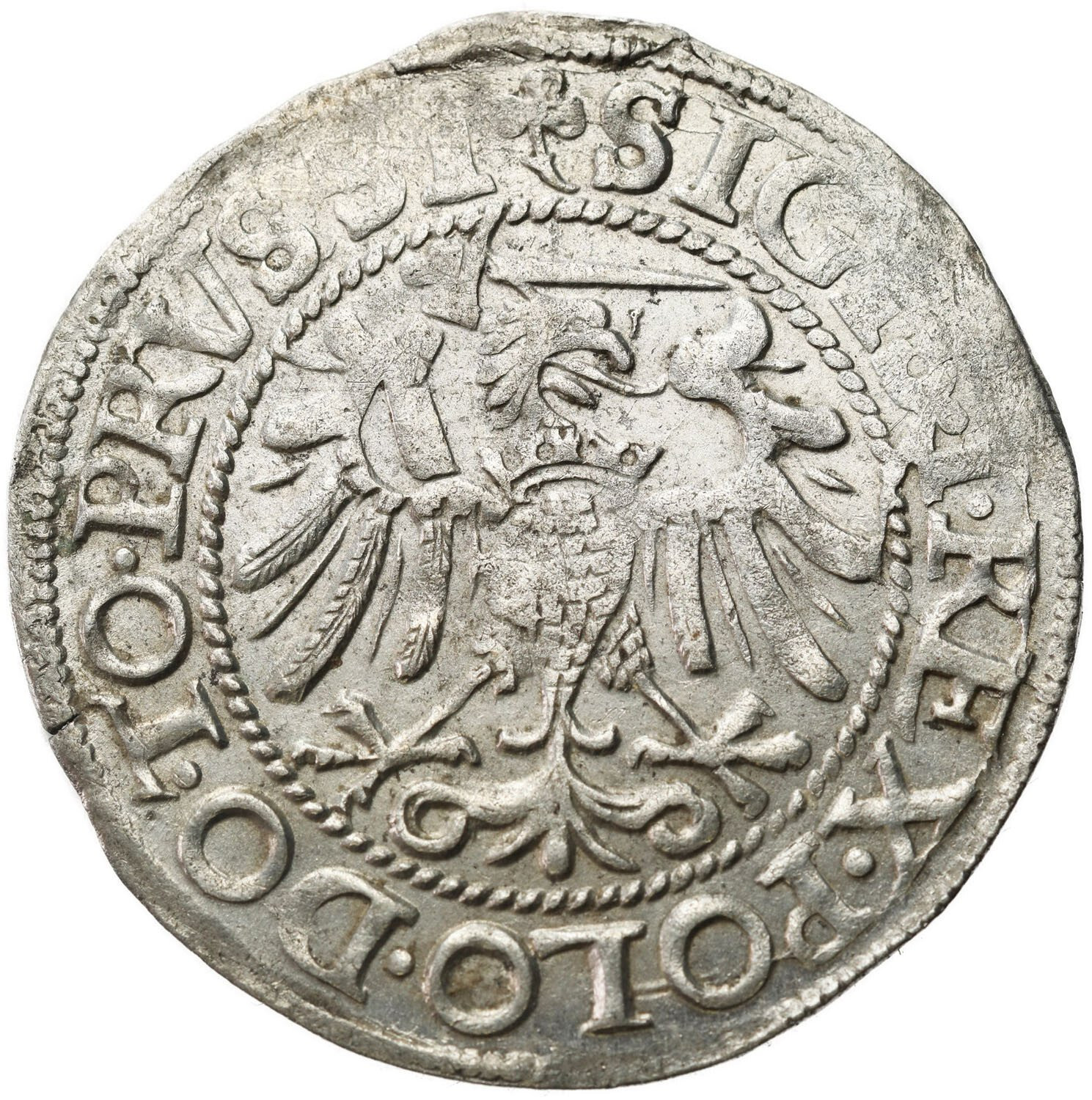 Zygmunt I Stary. Grosz 1540, Elbląg - ŁADNY | archiwum.niemczyk.pl