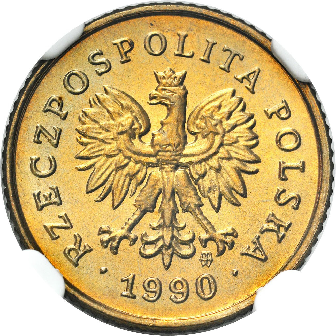 III RP. 1 grosz 1990 NGC MS68 (MAX) – PIĘKNE | archiwum.niemczyk.pl