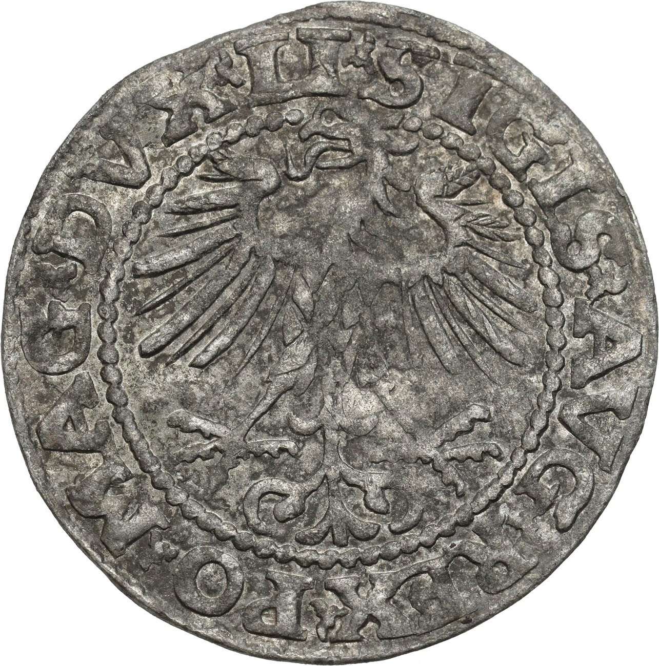 Zygmunt II August. Półgrosz 1552, Wilno - RZADSZY ROCZNIK