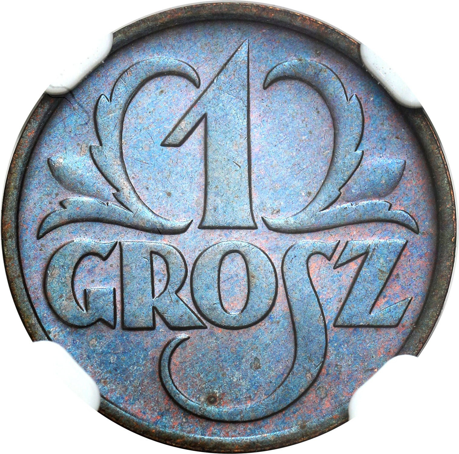 II RP 1 grosz 1935 NGC MS65 BN - PIĘKNY