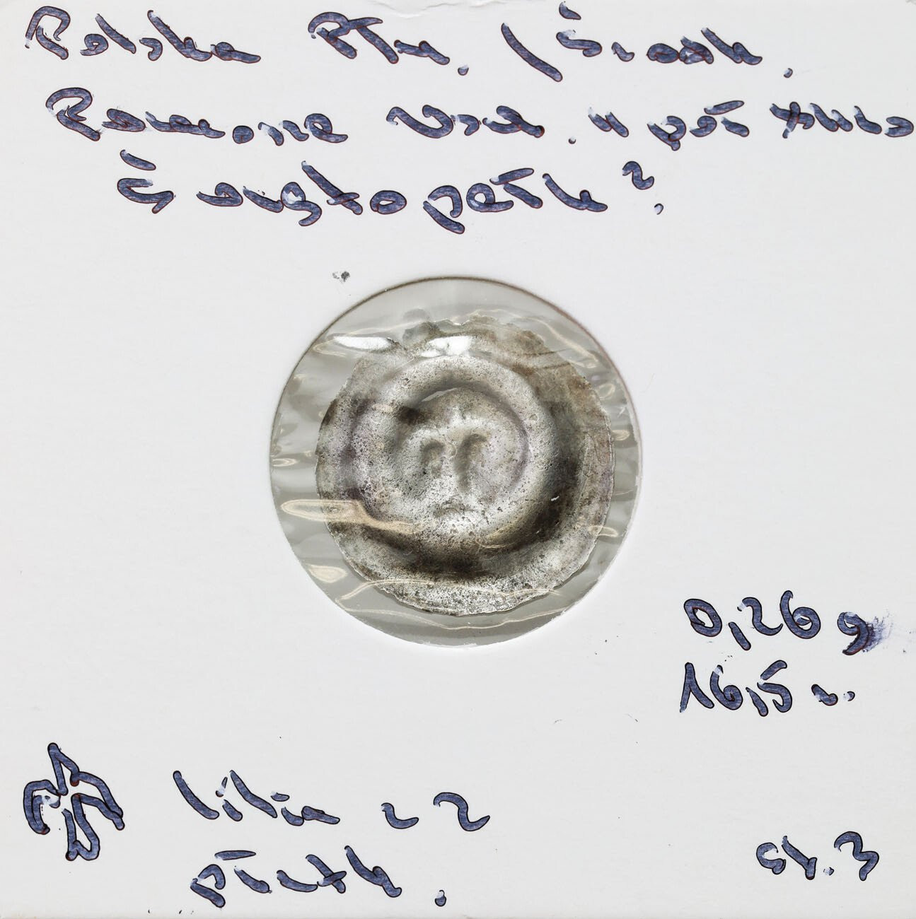 Pomorze Wschodnie, Świętopełk II Wielki (1220-1266), Brakteat II poł. XIII w. - Lilia swobodna - RZADKI