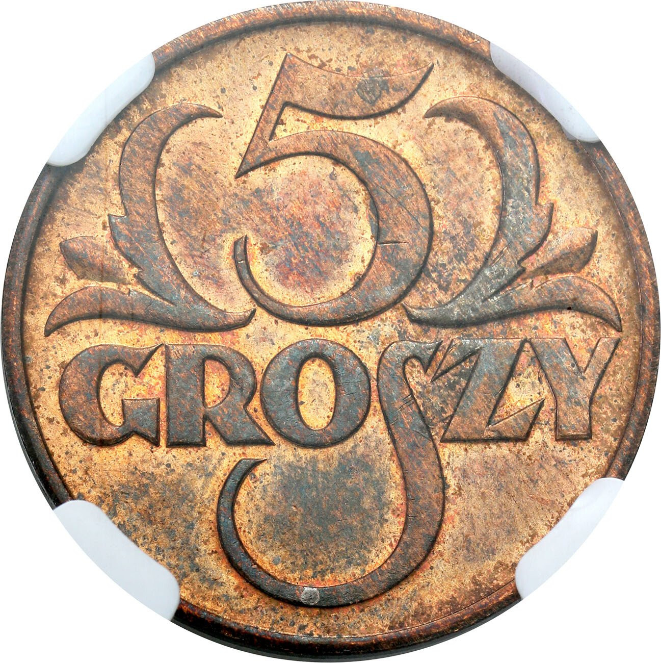 II RP. 5 groszy 1935 NGC MS64 RB - PIĘKNE