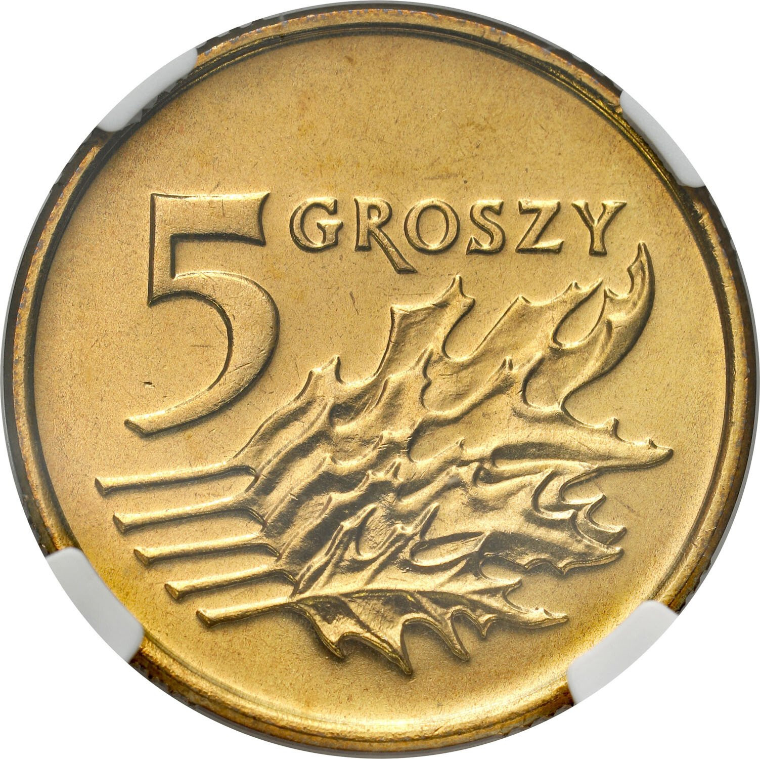 III RP. 5 groszy 1993 NGC MS68 – PIĘKNE