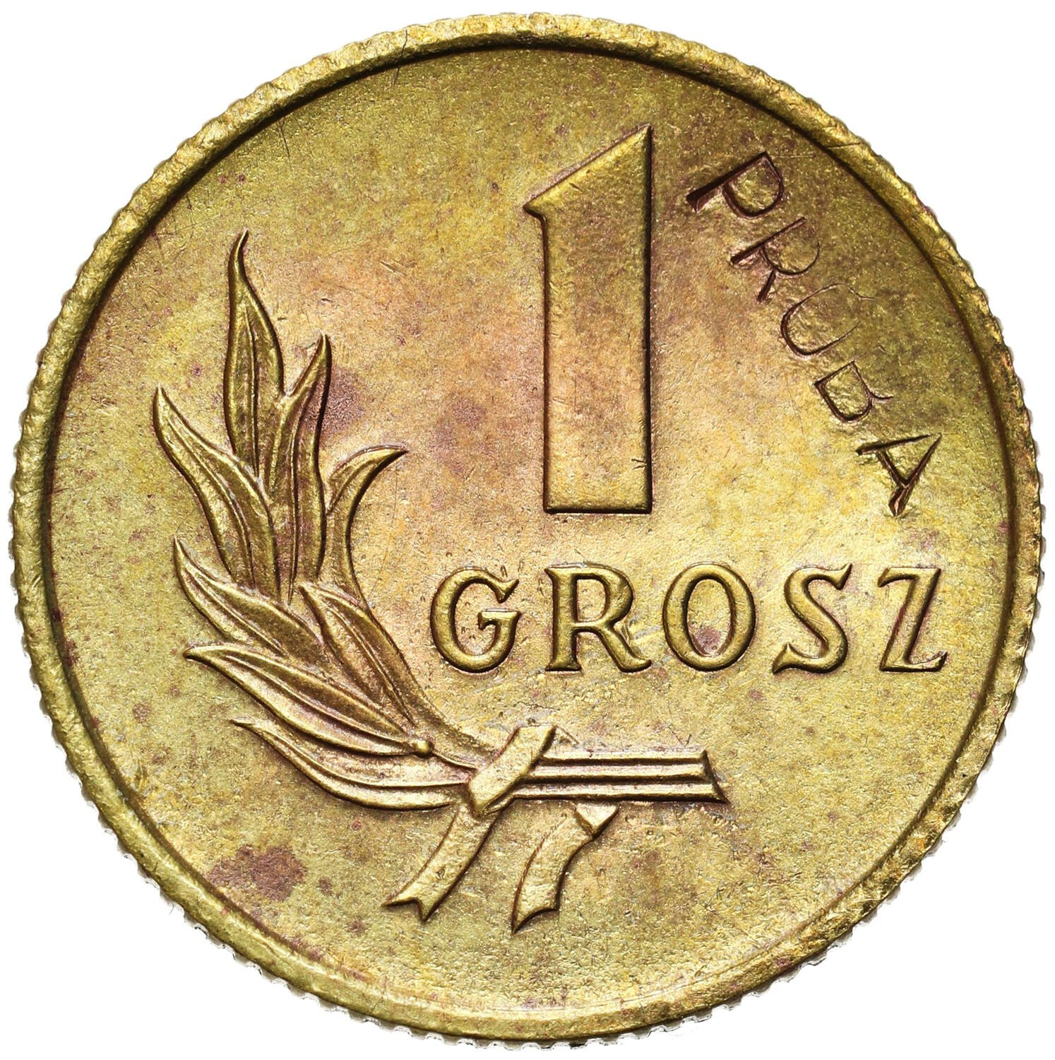 PRL. PRÓBA mosiądz 1 grosz 1949 - NAKŁAD 100 sztuk