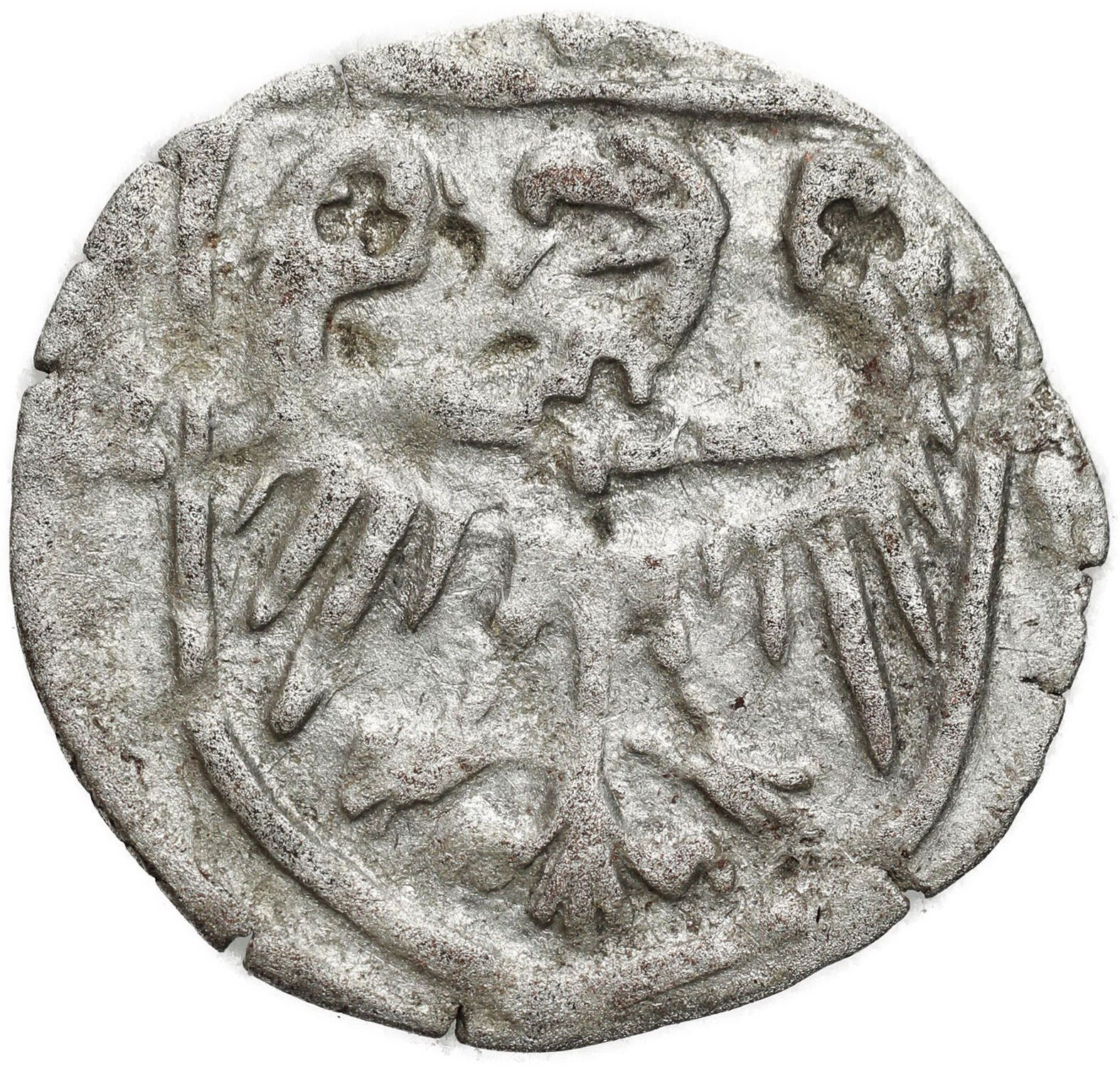 Śląsk, Księstwo Nyskie. Konrad Oleśnicki (1417-1447). Halerz około 1430-1440, Nysa