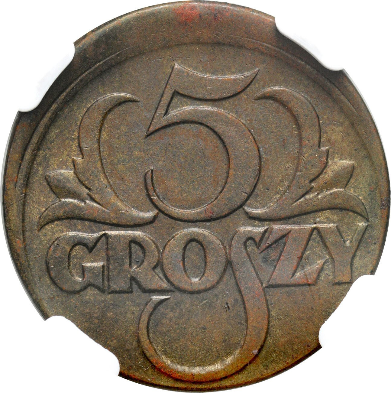 II RP. 5 groszy 1923 przesunięty stempel - DESTRUKT MENNICZY – NGC MS62 MINT ERROR