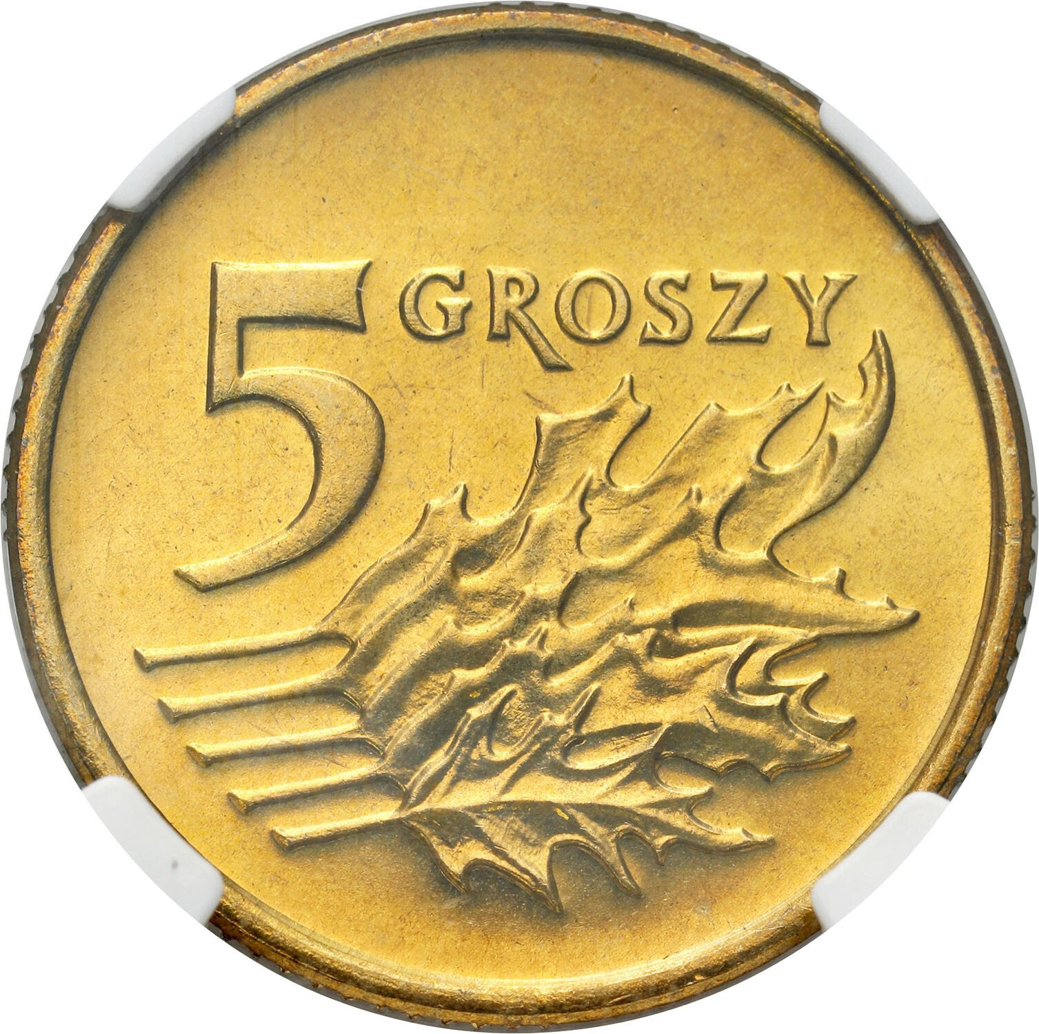 III RP. 5 groszy 1993 NGC MS68 – PIĘKNE