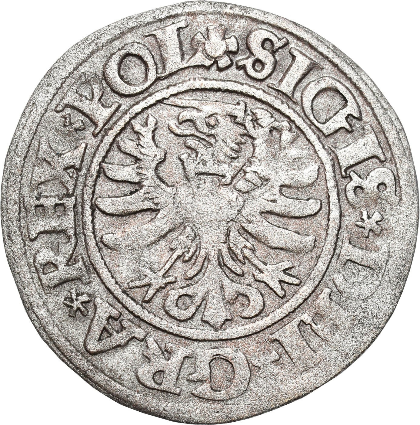 Zygmunt I Stary. Szeląg 1531, Gdańsk