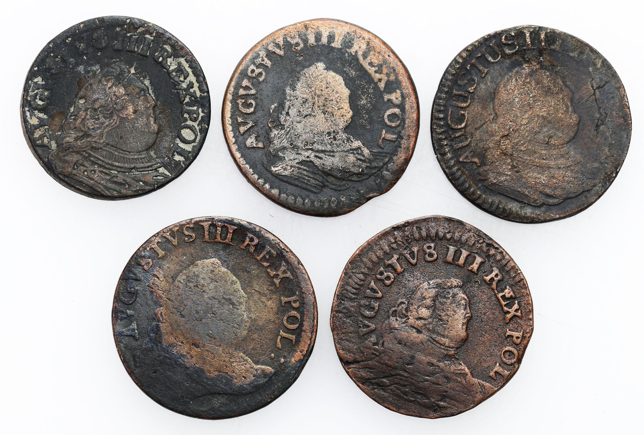 August III Sas. Grosz 1754 – 1755, zestaw 5 monet