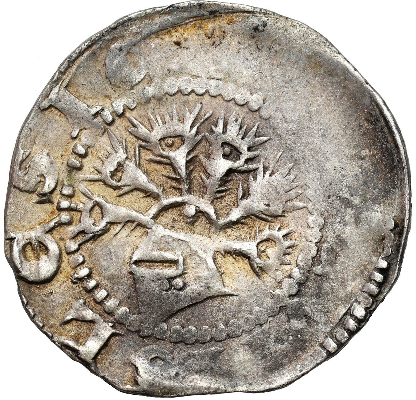 Śląsk. Księstwo Ziębickie. Bernard, Henryk, Bolko II (1301-1312). Kwartnik, Lwówek - RZADKOŚĆ R5