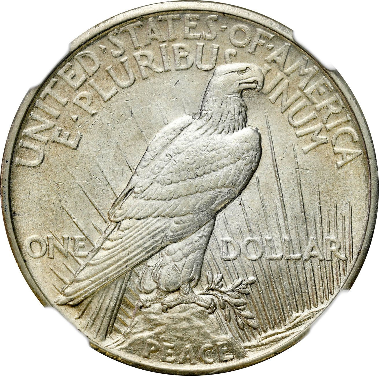 USA. 1 Dolar 1921, Peace, Filadelfia  NGC AU58 - Wysoki relief