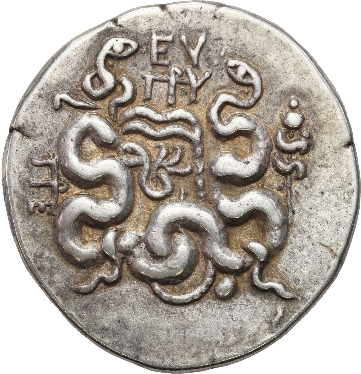Grecja - Myzja, Tetradrachma Cystoforyczna, 92-88 r. p. n. e., Pergamon