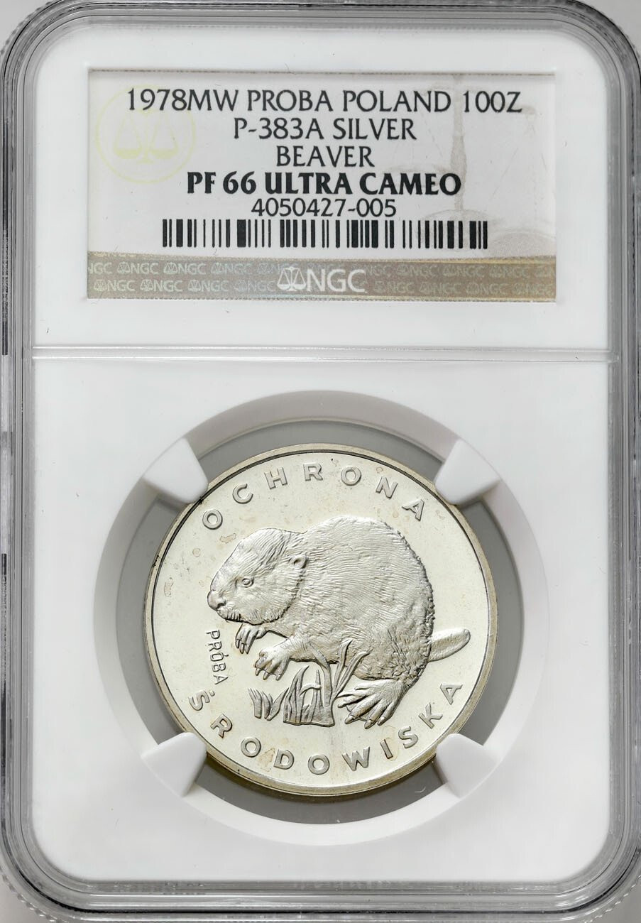 PRL. PRÓBA srebro 100 złotych 1978 Bóbr NGC PF66 ULTRA CAMEO (MAX) - RZADSZE