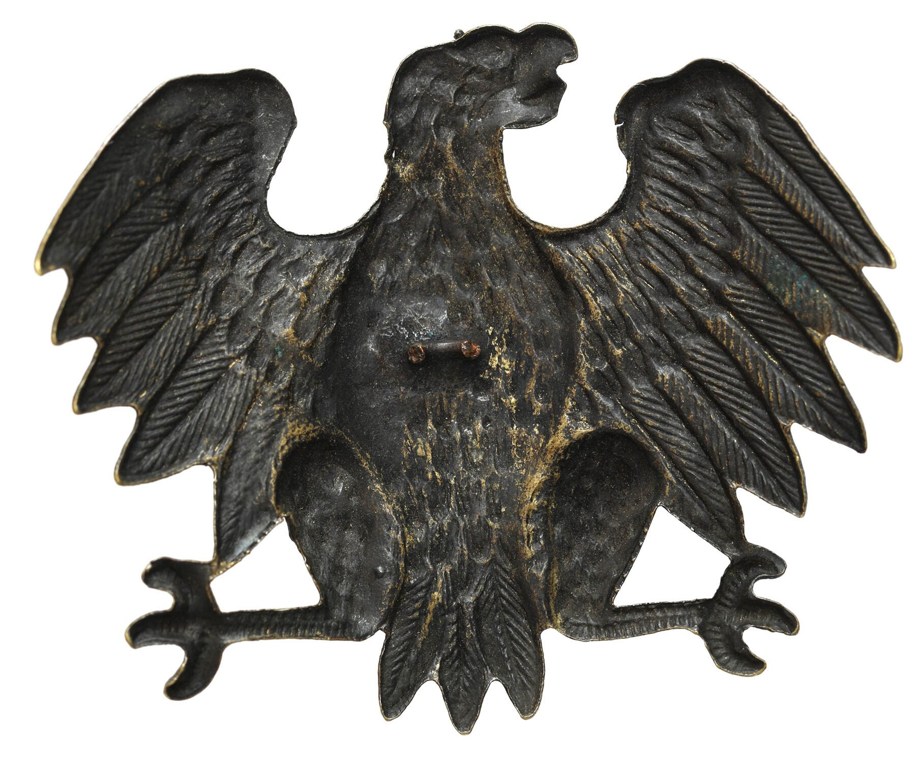 Orzełek Kurica