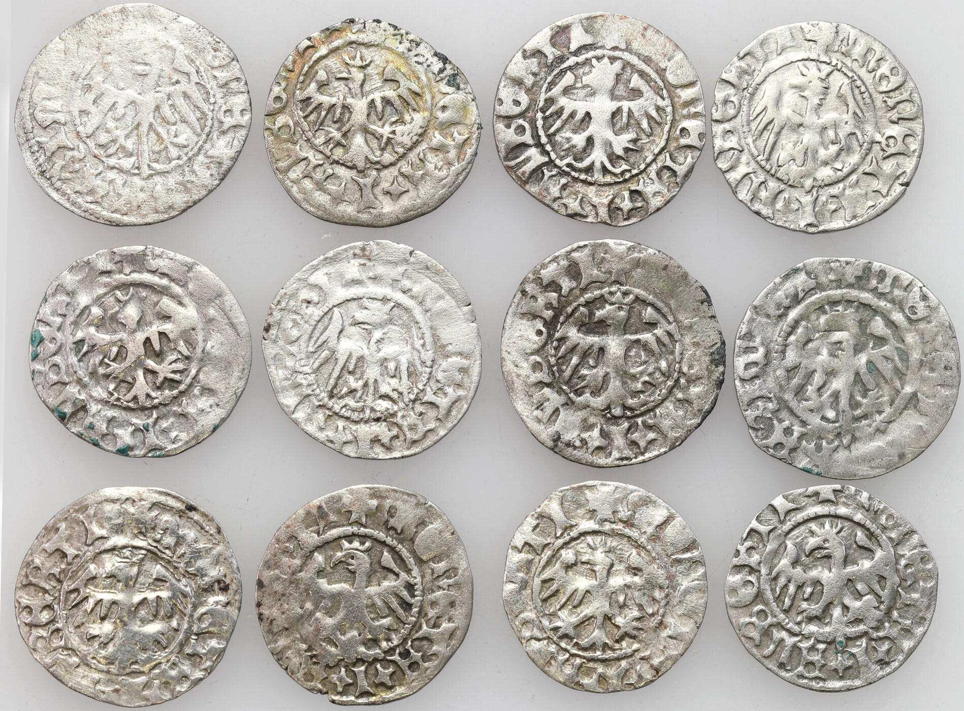 Jan I Olbracht (1492–1501). Półgrosz, zestaw 12 sztuk