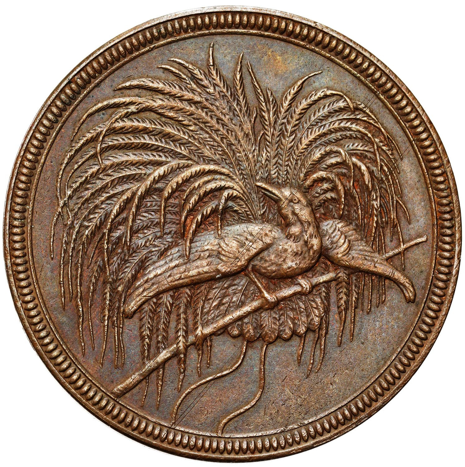 Niemcy/Nowa Gwinea (kolonia). Wilhelm II. 10 fenigów 1894 A, Berlin - RZADKIE