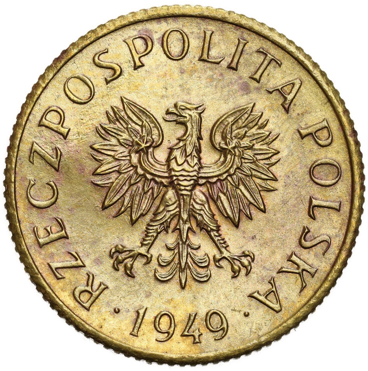 PRL. PRÓBA mosiądz 1 grosz 1949 - NAKŁAD 100 sztuk