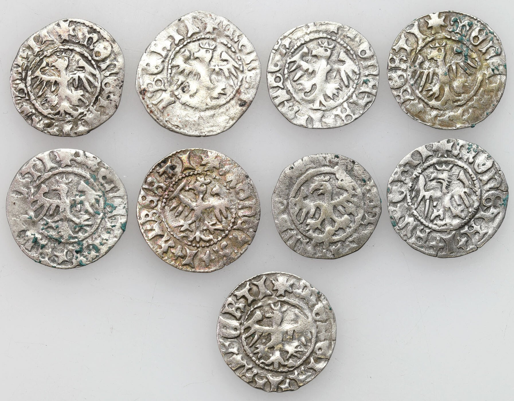 Jan I Olbracht (1492–1501). Półgrosz, zestaw 9 sztuk